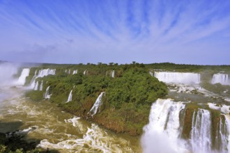 Roaring falls in South America - Iguazu. Foamy streams fall between the green jungle. The