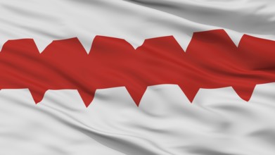 Omsk City Flag, Country Russia, Closeup View