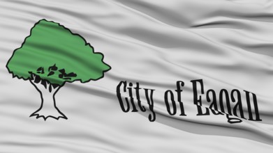 Closeup of Eagan City Flag, Waving in the Wind, Minnesota State, United States of America