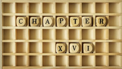 An image of a wooden game with the word chapter sixteen