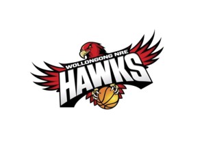 Turned to the left, Illawarra Hawks logo, logo