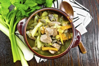 Eintopf soup of pork, celery, beans, carrots and potatoes with leek in a clay bowl on a towel on