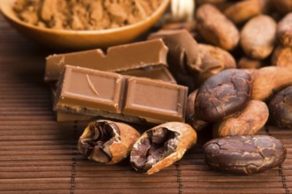 Cocoa (cacao) beans with chocolate, lodz, poland