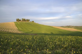 Chianti is one of the most famous rural areas of Tuscany