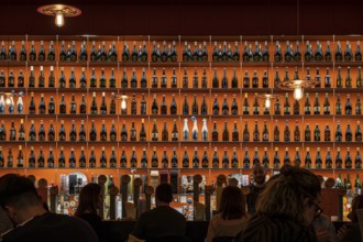 Cerveceria tradicional, Roma, Lazio, Italia