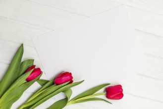 Red tulips and sheet of paper for your greetings on the background of white wooden board