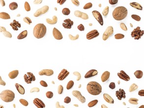 Pattern of nuts mix with copy space. Various nuts isolated on white. Pecan, macadamia, brazil nut,