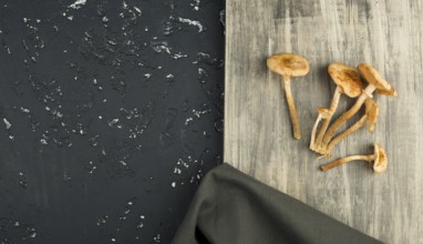 Fresh mushrooms with spices and herbs on black board. View from above. Copy space