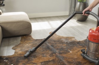 Cleaning the house, vacuuming the floor with the vacuum cleaner, carpet of the house