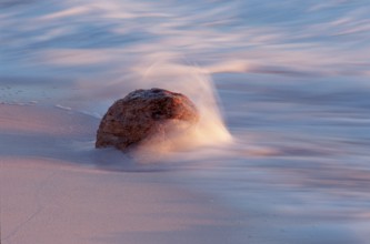 Driftwood on the beach, Jamaica, Caribbean Sea, Caribbean, Central America