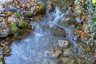 Water flowing through the Wisenbach with stones and moss, Leimbach, Thurgau, Switzerland, Europe