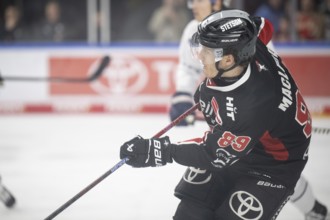 LanxessArena, Cologne, North Rhine-Westphalia, Gregor Macleod (Cologne Sharks, #89), PENNY DEL,