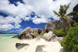 La Digue, Palm tree beach, Seychelles, Indian Ocean, Palm trees, La Digue, Indian Ocean,
