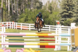 Abdulrahman Alrajhi from Saudi Arabia and riding Heartbeat W, compete in the 1.60m Grand Prix
