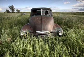 Vintage Farm Trucks Saskatchewan Canada weathered and old