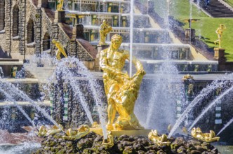 Samson Fountain in Peterhof, Saint-Petersburg, Russia, Europe