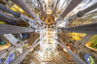 Barcelona, Spain, April 7, 2023: Interior of La Sagrada Familia cathedral, designed by Gaudi, it is
