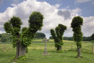 Wayside cross near Terborgh castle in the Dutch village Schinnen in the most southern province