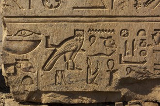 Ancient egypt images and hieroglyphics on wall
