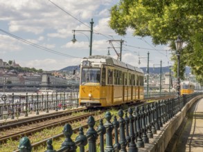 A yellow tram runs along a sunny street with green trees in a city, budapest, danube, hungary
