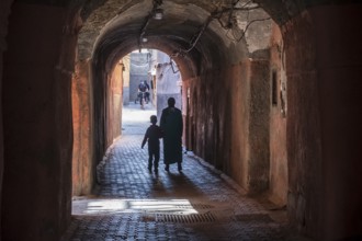 Lights and shadows in the alley, marrakesh, morocco