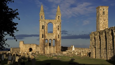 Scotland, St Andrews Cathedral, St Andrews