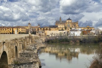 View of Mosque Cathedral of Cordoba from Roman Bridge, Spain, Europe