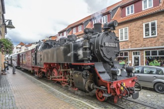 Mecklenburgische Bäderbahn Molli, Mollistraße, Bad Doberan, Mecklenburg-Vorpommern, Germany, Europe