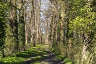 Wonderful path in the beautiful landscape