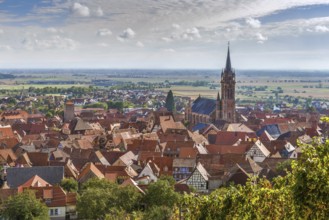 View of Dambach la Ville from the hill with vineyard, Alsace, France, Europe