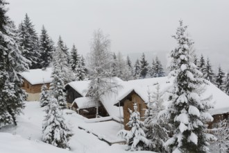 Snow-covered little houses in the middle of a forest