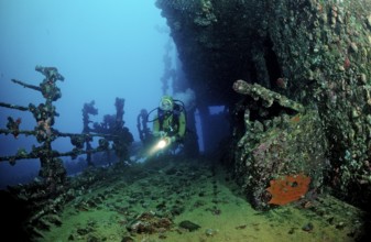 Diver on the Umbria shipwreck, Sudan, Africa, Red Sea, Wingate Reef, Africa