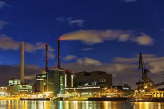 Large power plant, GKM, coal-fired power plant, Mannheim, Ebergie, electricity, economy, power