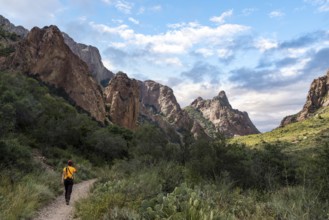 A hiker walking thtough the mountains of Big Bend National Park, USA, North America