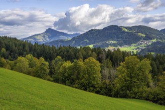 View to the Kitzbüheler Horn mountain in the alps of Austria