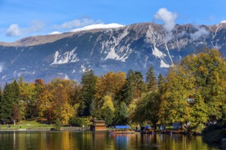 Bled, Slovenia panoramic sunset view of Lake and autumn colorful trees background in julian alps