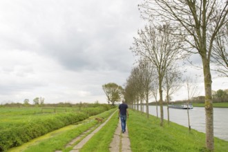 Man walking the dog in typical dutch landscape