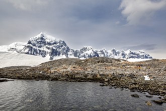 Snow-capped mountains with rocky coastline and calm waters under cloudy skies, The coast and