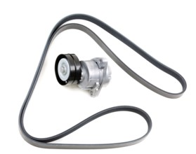 Set, the serpentine belt and tensioner pulley. Isolate on white