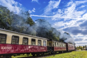Molli train