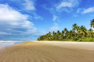 Landscape of the idyllic beach of Sargi with its coconut trees and sand meeting the sea in Serra