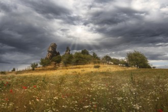 Devil's Wall Harz nature reserve with flowering summer meadow