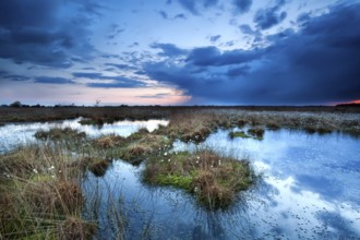 Dark storm clouds over lake at sunset, Fochteloerveen
