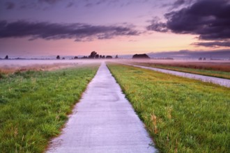 Dutch bicycle road through summer misty meadows