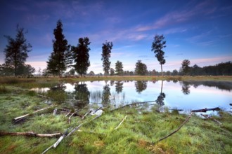 Sunrise over little wild lake, Drents-Friese wold, Netherlands