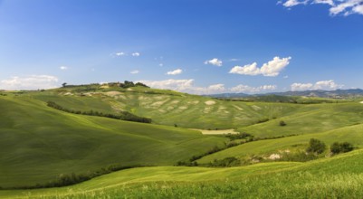 Hilly landscape with blue skies in Crete Senesi, Asciano, Siena, Italy, Europe