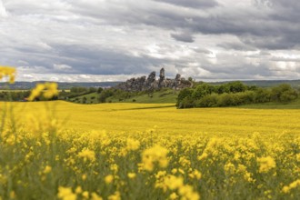 Devil's Wall near Thale in the Harz Mountains with a rape field in bloom