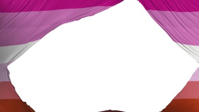 Divided Lesbian pride flag, white background, 3d rendering