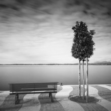 Shore promenade on Lake Garda, Italy, with trees and bench, Europe