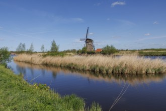 Windmill on the water, surrounded by reeds and meadow under a bright blue sky, historic windmills